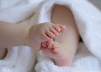 marjonhorn baby 6823431