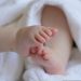 marjonhorn baby 6823431