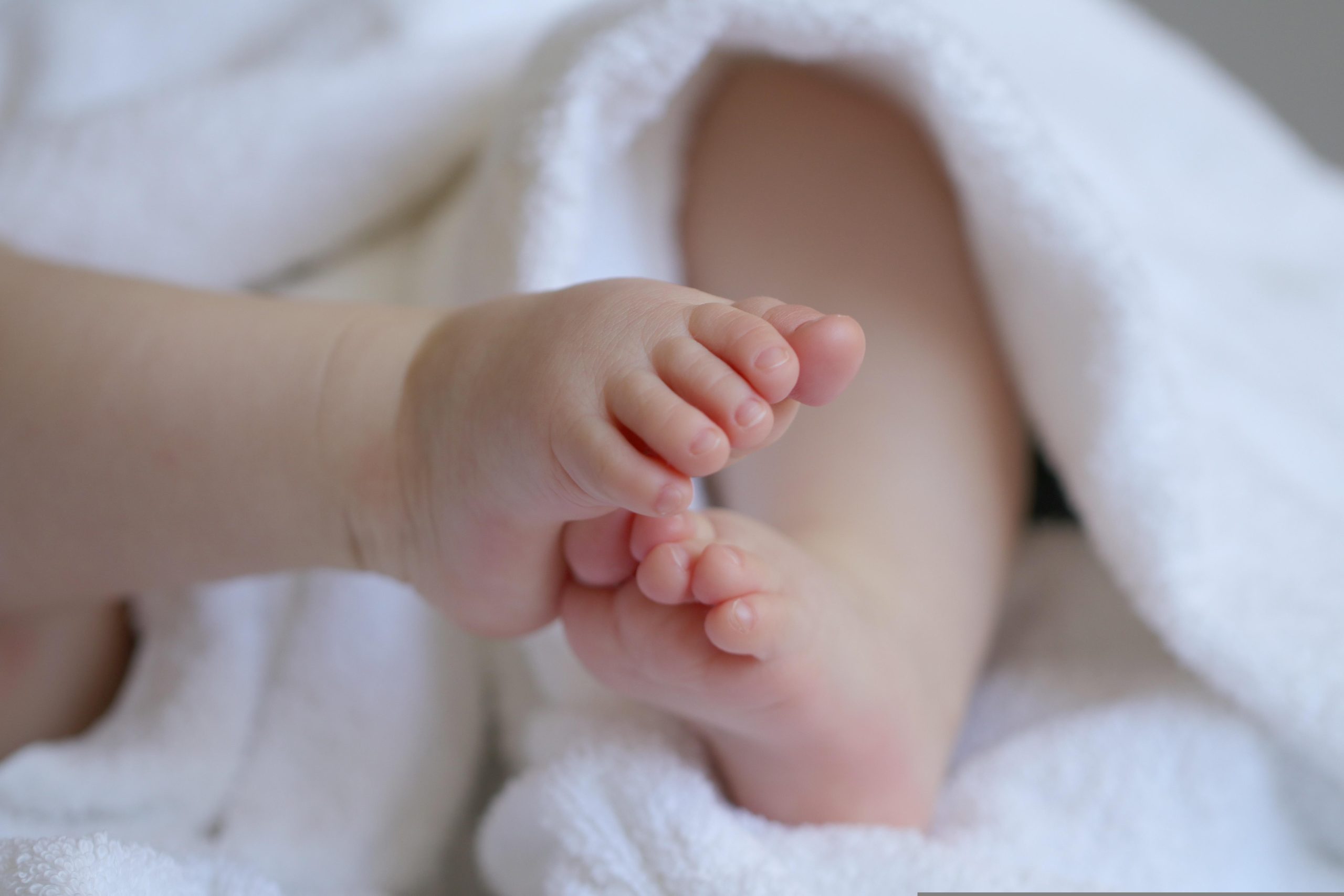 marjonhorn baby 6823431