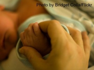 Mijëra prindër në Serbi besojnë se fëmijët e tyre u vodhën pas lindjes.