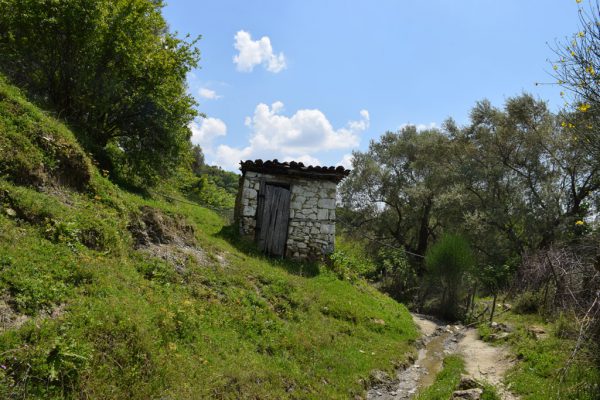 Banjo në një fshat të Tiranës. Foto: BIRN