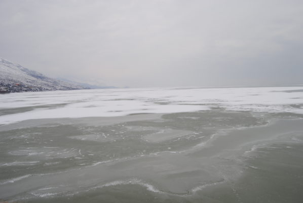 Temperaturat e ulëta kanë ngrirë liqenin e Shkodrës. 12 janar 2017. Foto: Elvis Nabolli.