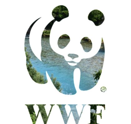 Logoja e Fondit Botëror për Natyrën kombinuar me lumin Valbonë. Imazhi: BIRN
