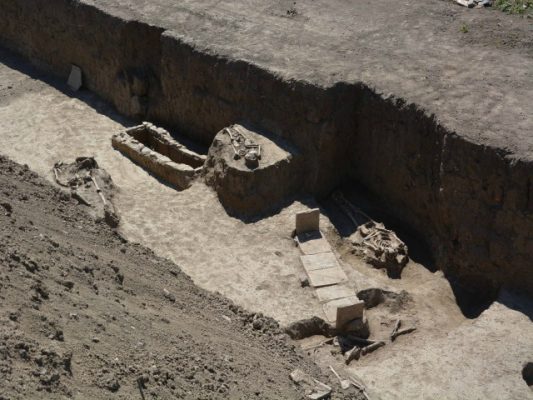 Varr i zbuluar në Viminacium | Foto nga : Beta