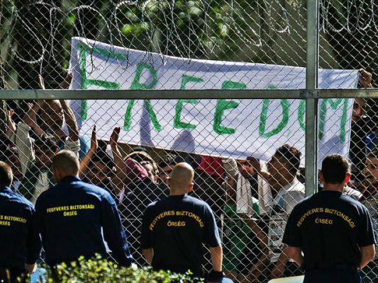 Emigrantët bëjnë thirrje me sloganin “Liri” teksa protestojnë pranë kufirit Hungari-Serbi. Foto: Zyra e Komisioneri të OKB për të Drejtat e Njeriut.