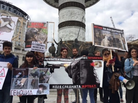 Protesta në Maqedoni në mbrojtje të kafshëve të rrugës. Foto: BIRN