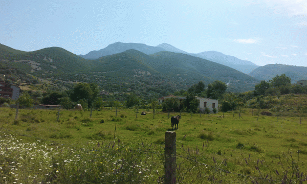 Mali i Dajtit nga fshati Tufinë. Foto: Gjergj Erebara