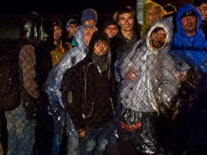 Refugjatë në kufirin mes Kroacisë dhe Slovenicë | Foto: Darko Bandic/BETA