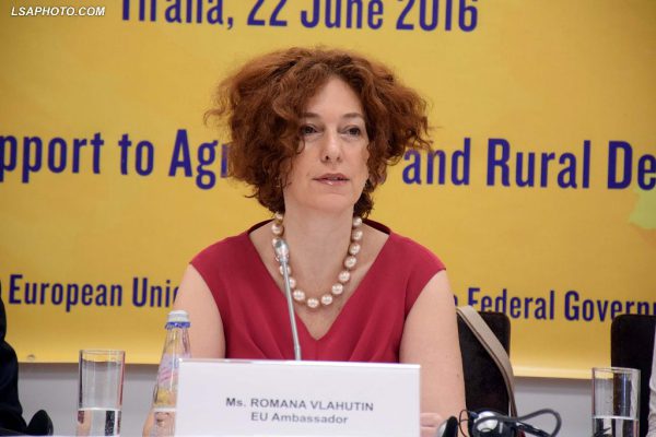 Kreu i Delegcionit të BE-së në Tiranë Romana Vlahutin | Foto nga : LSA