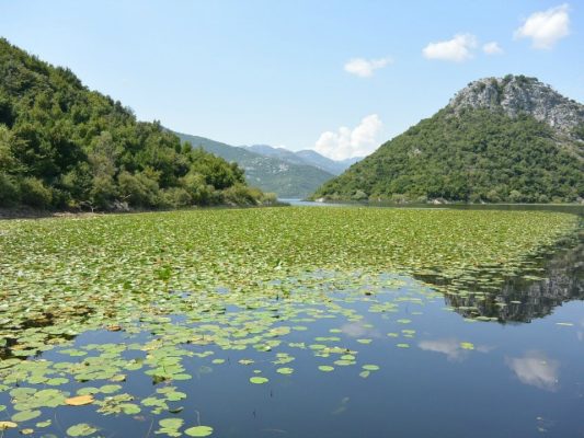 Liqeni i Shkodrës. Foto: Pixabay