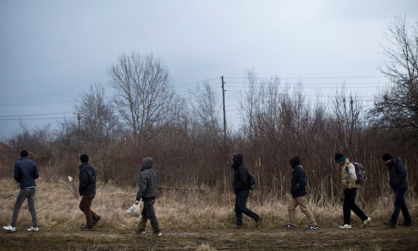 Emigrantë të paligjshëm në një pyll afër Suboticës, në veri të Serbisë | Foto ilustruese nga AP
