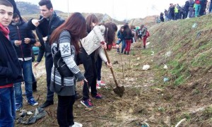 Aktivistët mbjellin fidanë në landfillin e Sharrës | Foto nga Belinda Dibra