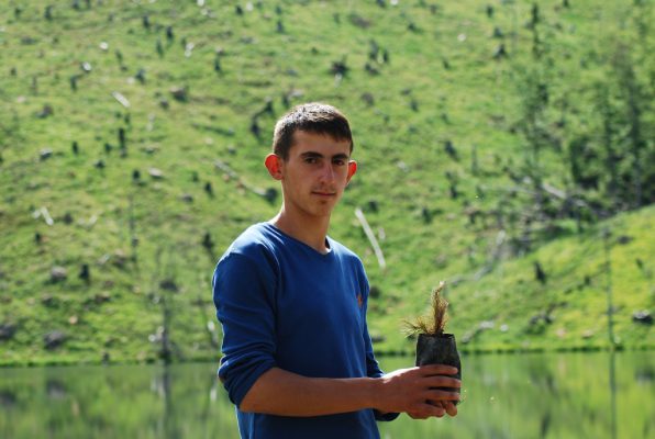 Erald Buçi tregon një nga fidanët e mbjelluar nga Albgarden | Foto nga : Lindita Çela