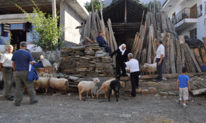Pamje nga dita e tregut në fshatin Gjinar të Elbasanit | Foto nga : Gjergj Erebara