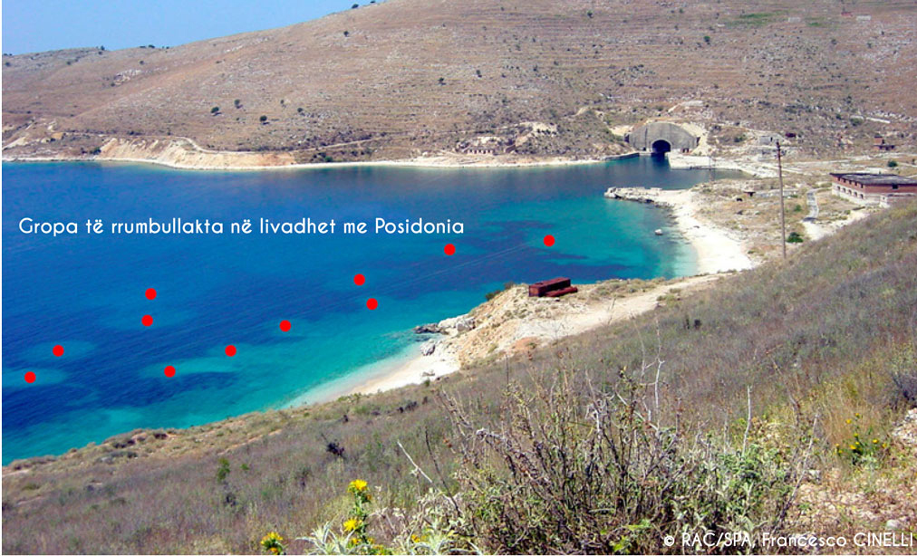 Ministria e Bujqësisë bllokon shpalljen e Porto Palermos si zonë e mbrojtur