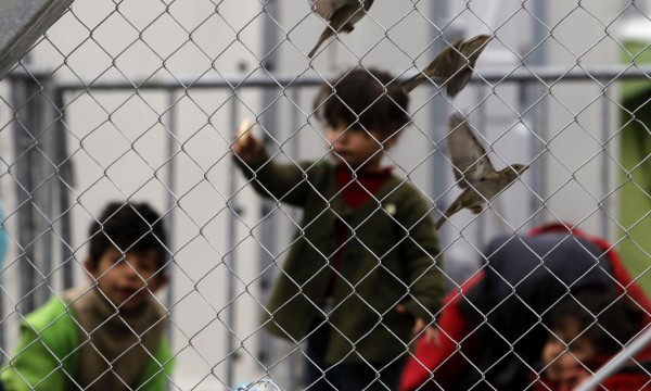 Fëmijët po luajnë në anën greke të kufirit, të fotografuar nga përtej gardhit nga ana maqedonase më 29 shkurt 2016. (AP Photo/Boris Grdanos)