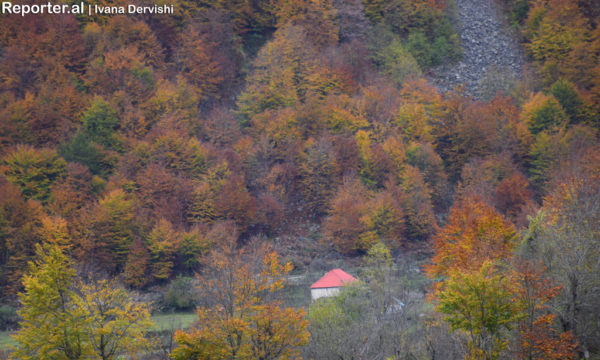 Lugina e Valbonës gjatë stinës së vjeshtës. Fotografuar më 29 tetor 2016. Foto: Ivana Dervishi/BIRN